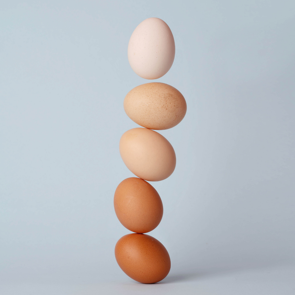 10 Protein Containing Foods That Will Help to Burn Fat